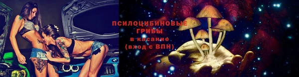 твердый Алзамай