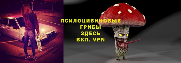 твердый Алзамай