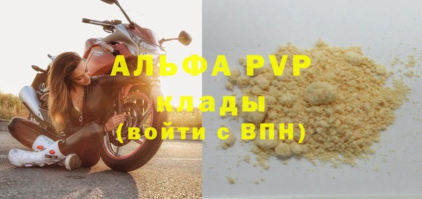 гашик Гусев