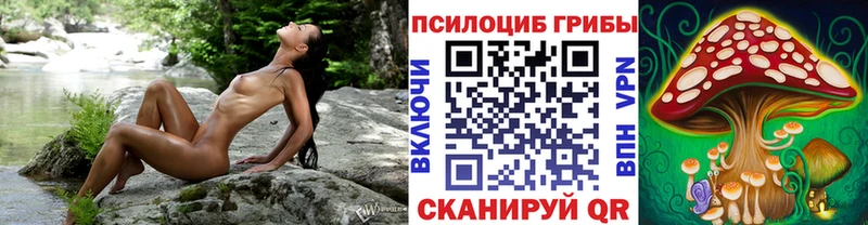 Галлюциногенные грибы Psilocybe  закладка  Пушкино 